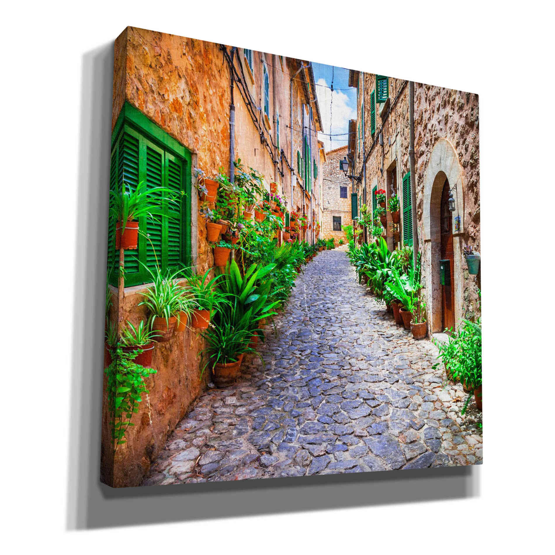 'Vecino I' Canvas Wall Art,Size 1 Square