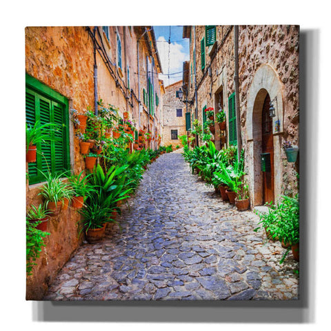 Image of 'Vecino I' Canvas Wall Art,Size 1 Square