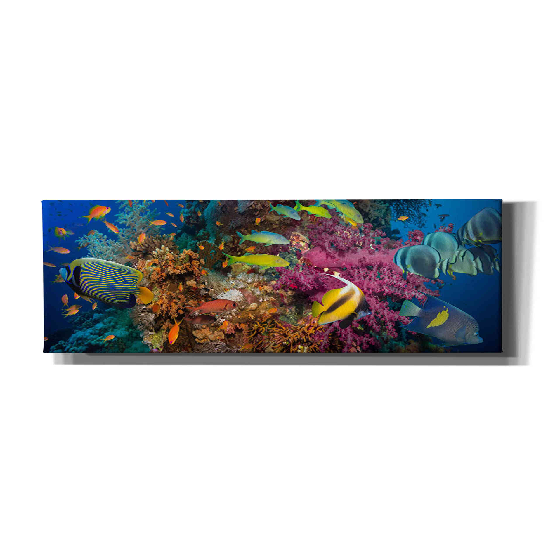 'Passage to Sea' Canvas Wall Art