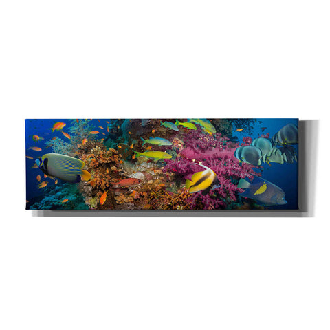 Image of 'Passage to Sea' Canvas Wall Art