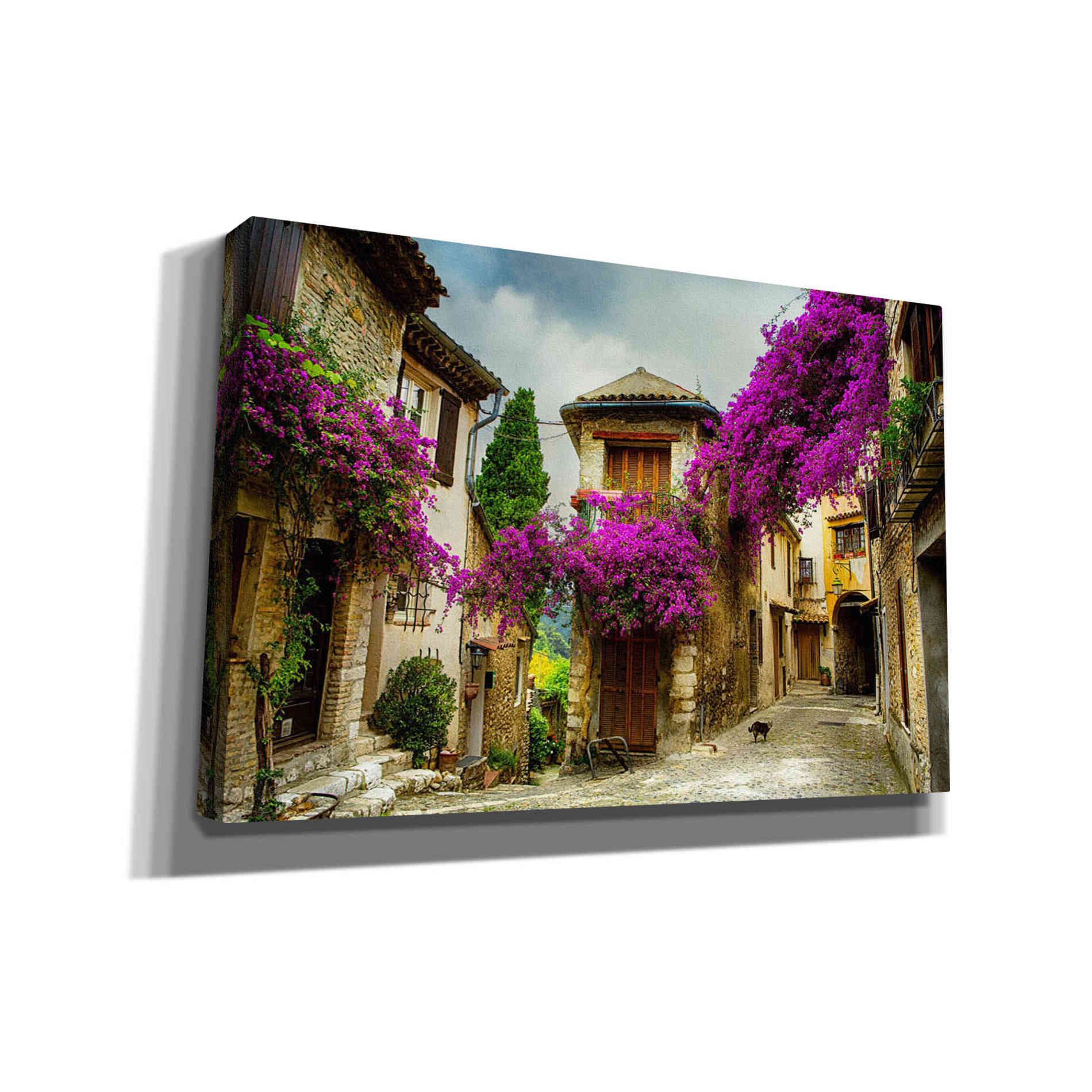 'Bougainvillea' Canvas Wall Art,Size A Landscape