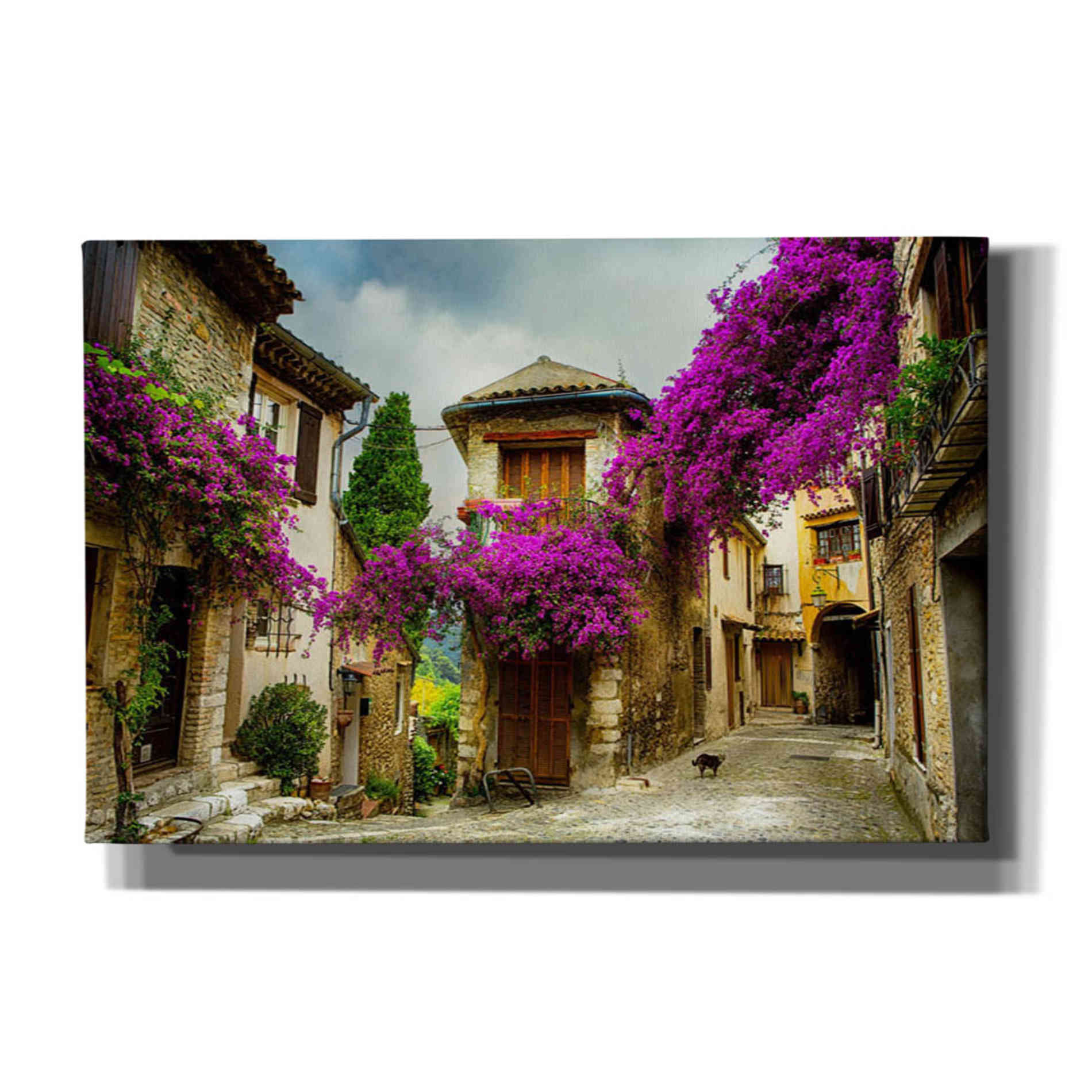 'Bougainvillea' Canvas Wall Art,Size A Landscape