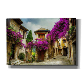 'Bougainvillea' Canvas Wall Art,Size A Landscape