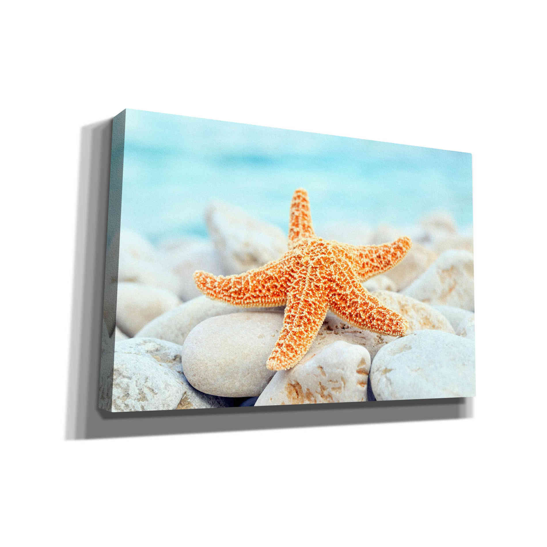 'Sea Star Dreams' Giclee Canvas Wall Art