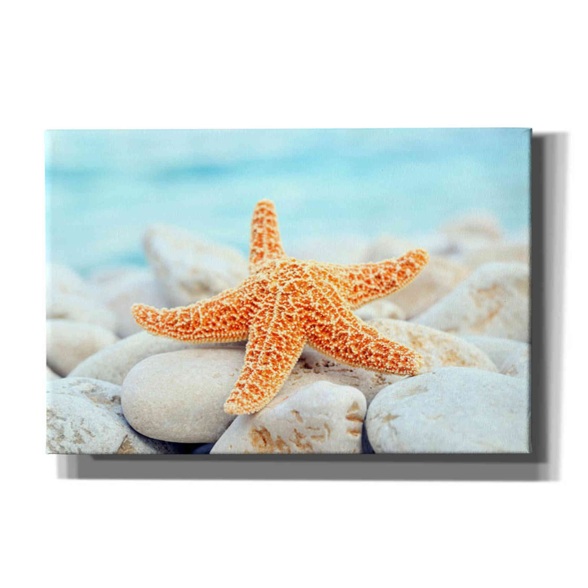 'Sea Star Dreams' Giclee Canvas Wall Art