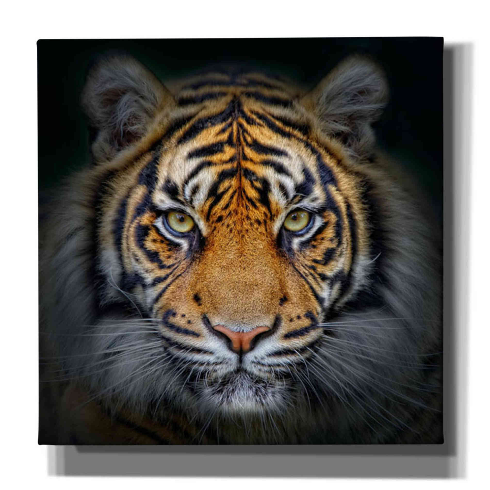 'Wild Side' Canvas Wall Art