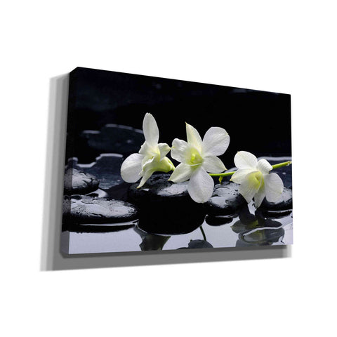 Image of 'The Light of Three' Canvas Wall Art