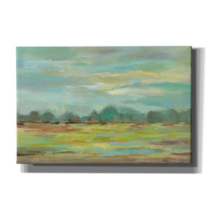 'Teal Forest' by Silvia Vassileva, Canvas Wall Art,Size 1 Square