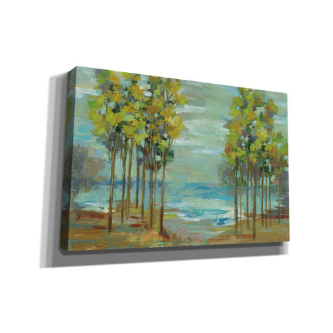 Image of 'Spring Trees' by Silvia Vassileva, Canvas Wall Art,Size 1 Square