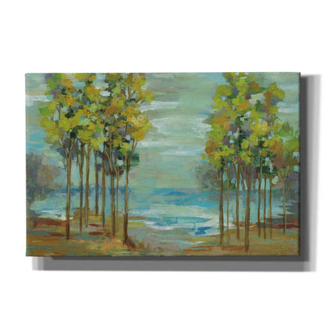 Image of 'Spring Trees' by Silvia Vassileva, Canvas Wall Art,Size 1 Square