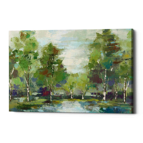 Image of 'Forest At Dawn' by Silvia Vassileva, Canvas Wall Art,Size A Landscape