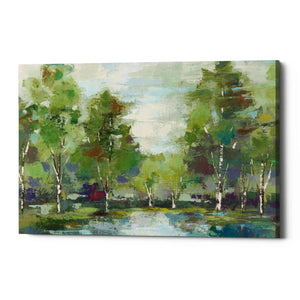 'Forest At Dawn' by Silvia Vassileva, Canvas Wall Art,Size A Landscape