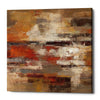 'Painted Desert' by Silvia Vassileva, Canvas Wall Art,Size 1 Square