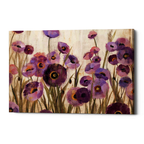 Image of 'Pink And Purple Flowers' by Silvia Vassileva, Canvas Wall Art,Size A Landscape