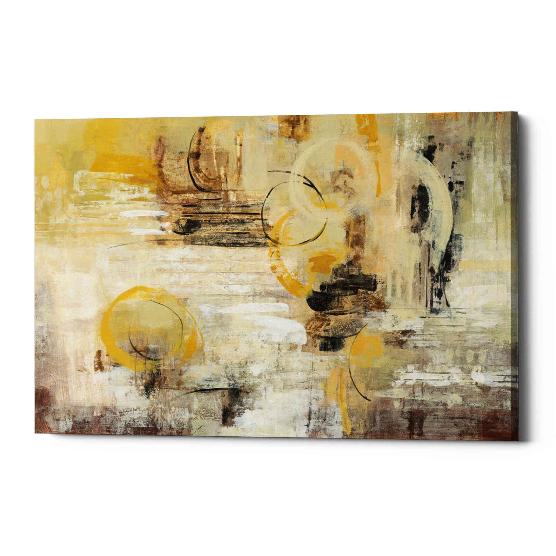 'Soft Glow' by Silvia Vassileva, Canvas Wall Art,Size B Landscape