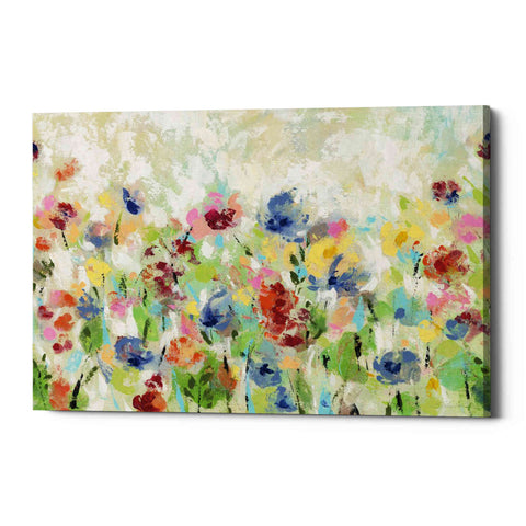 Image of 'Springtime Meadow Flowers' by Silvia Vassileva, Canvas Wall Art,Size B Landscape