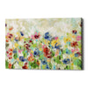 'Springtime Meadow Flowers' by Silvia Vassileva, Canvas Wall Art,Size B Landscape