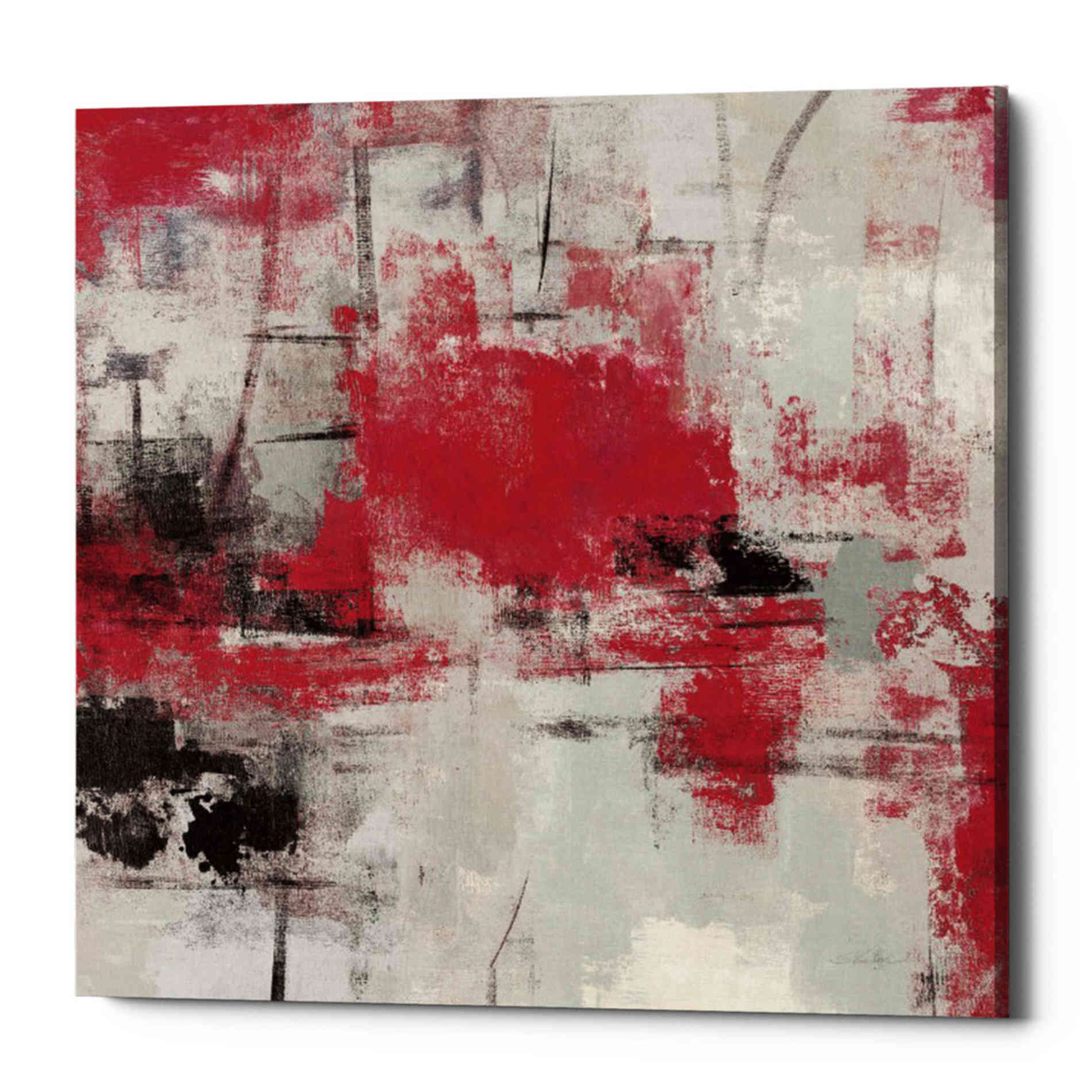 'Stone Gardens III Red' by Silvia Vassileva, Canvas Wall Art,Size 1 Square