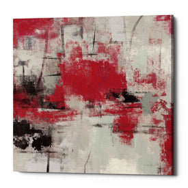 'Stone Gardens III Red' by Silvia Vassileva, Canvas Wall Art,Size 1 Square