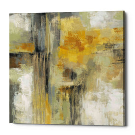 'Sun and Rain' by Silvia Vassileva, Canvas Wall Art,Size 1 Square