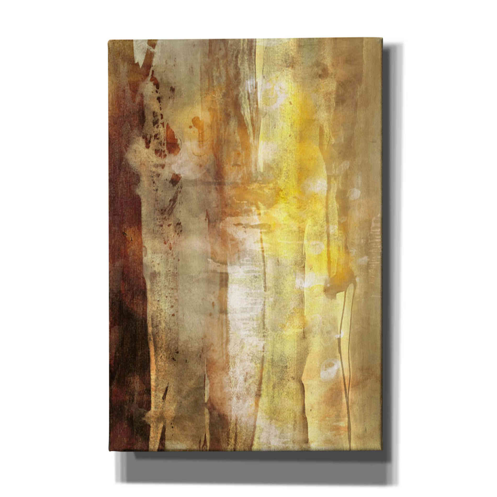 'Golden Glow I' by Sisa Jasper Canvas Wall Art