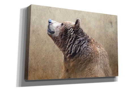 Image of 'Big Bear' by Karen Smith, Canvas Wall Art