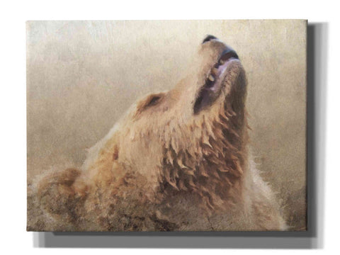 Image of 'Big Bear' by Karen Smith, Canvas Wall Art