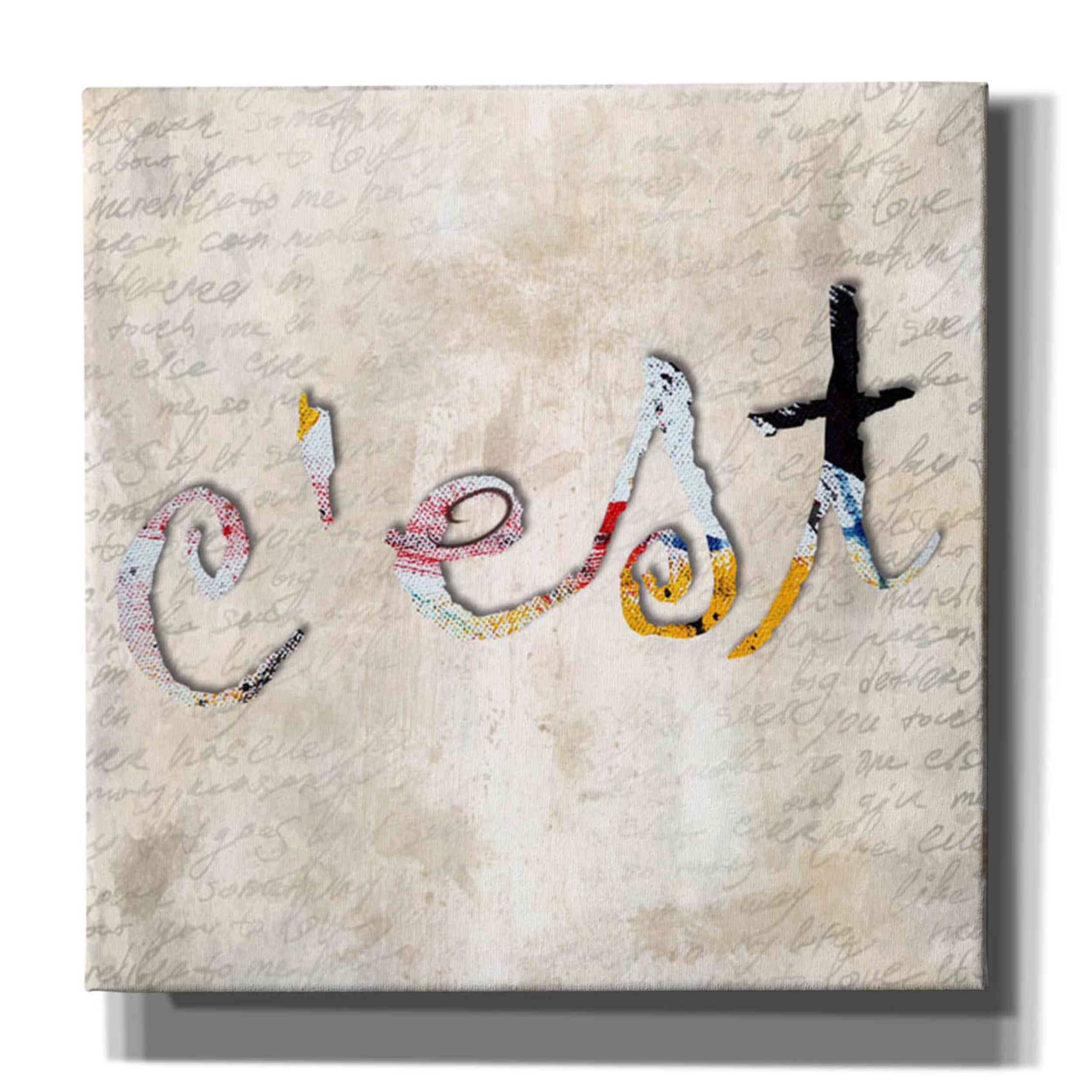 'C'est' by Karen Smith, Canvas Wall Art