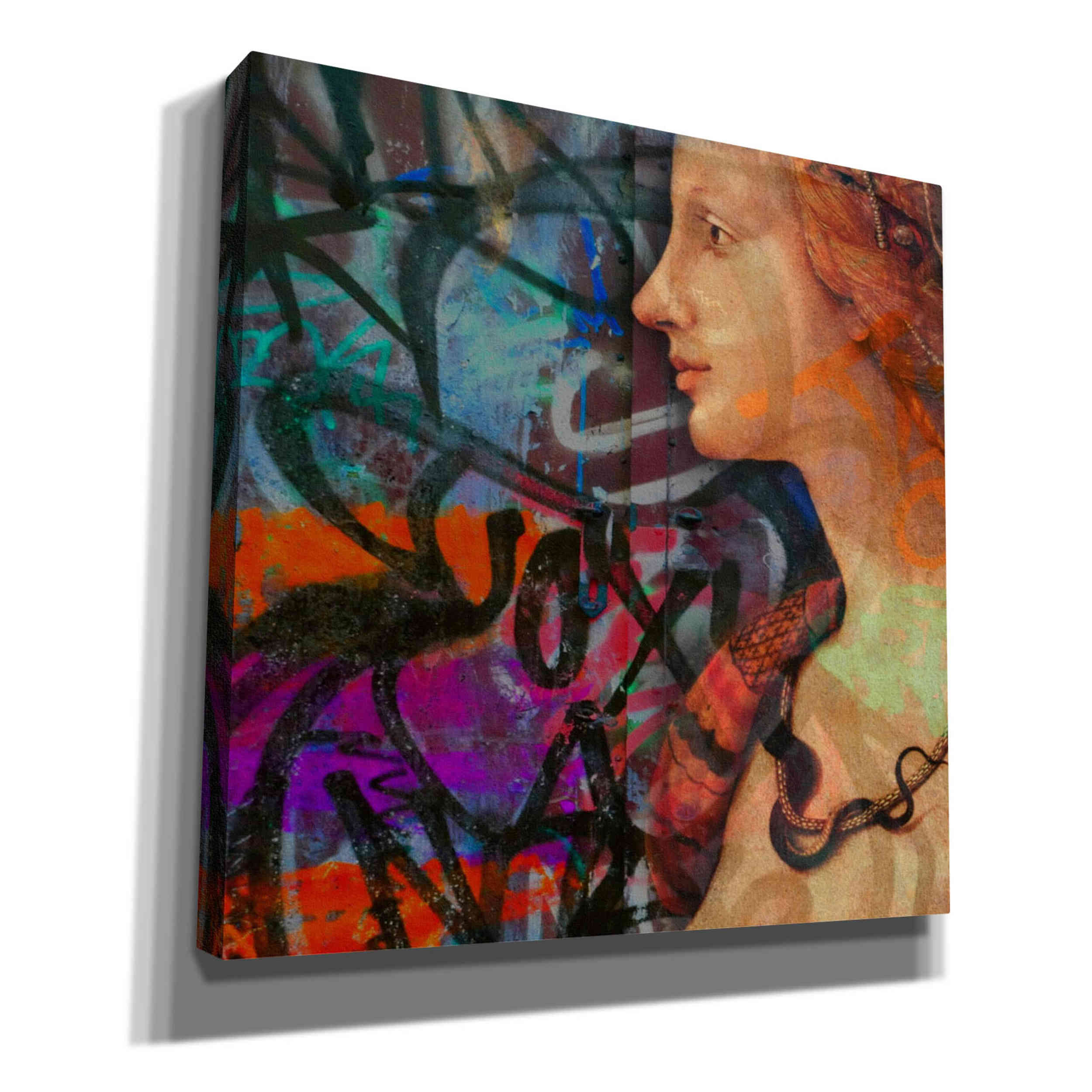 'Classic Graffiti 2' by Karen Smith, Canvas Wall Art