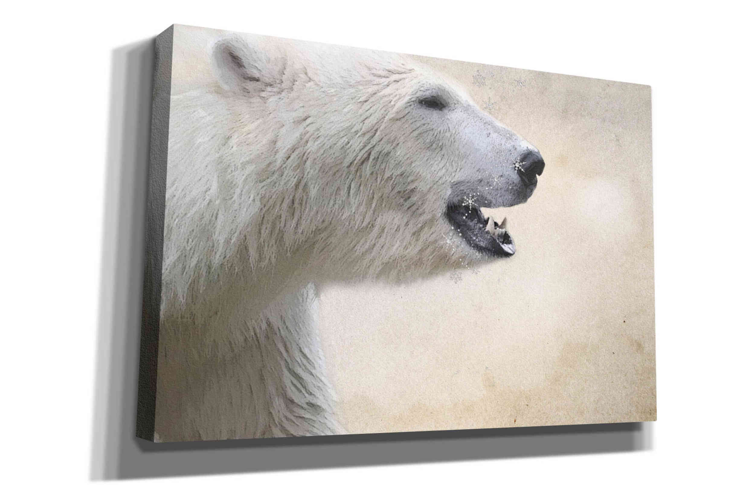 'Polar' by Karen Smith, Canvas Wall Art