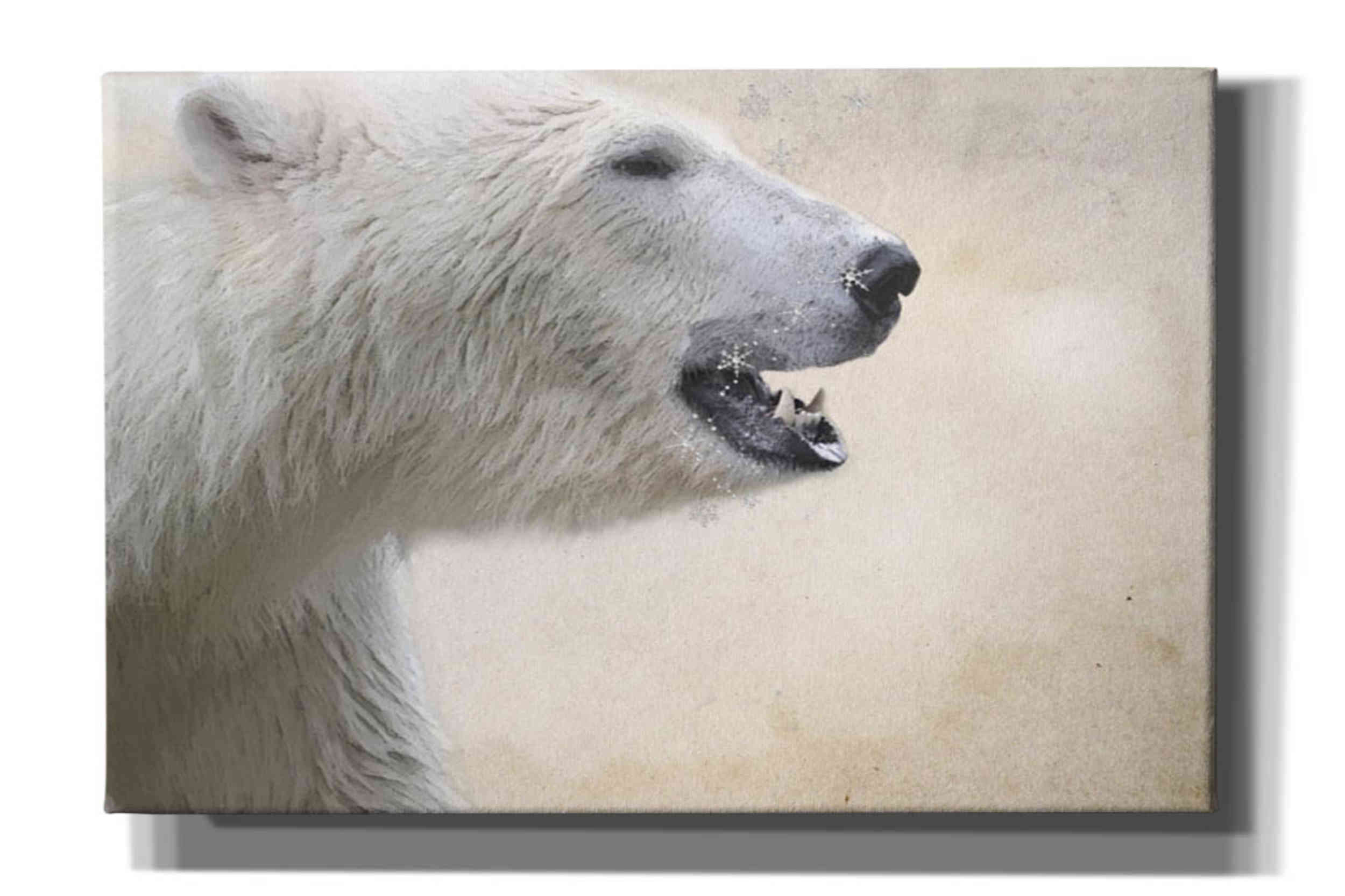 'Polar' by Karen Smith, Canvas Wall Art