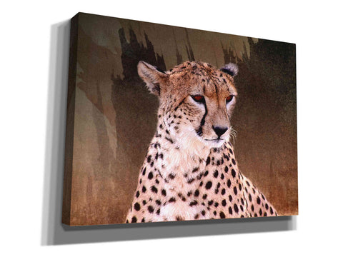 Image of 'Wildness Cheetah' by Karen Smith, Canvas Wall Art