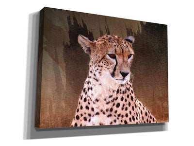 'Wildness Cheetah' by Karen Smith, Canvas Wall Art