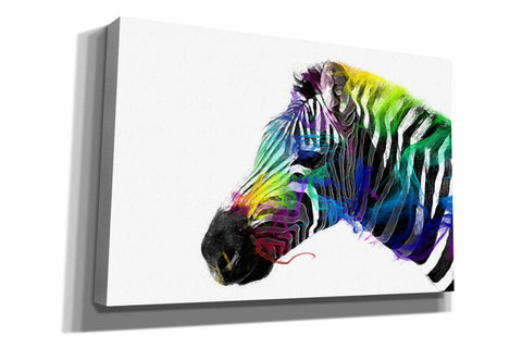 Image of 'Zebra' by Karen Smith, Canvas Wall Art