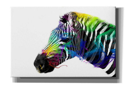 'Zebra' by Karen Smith, Canvas Wall Art