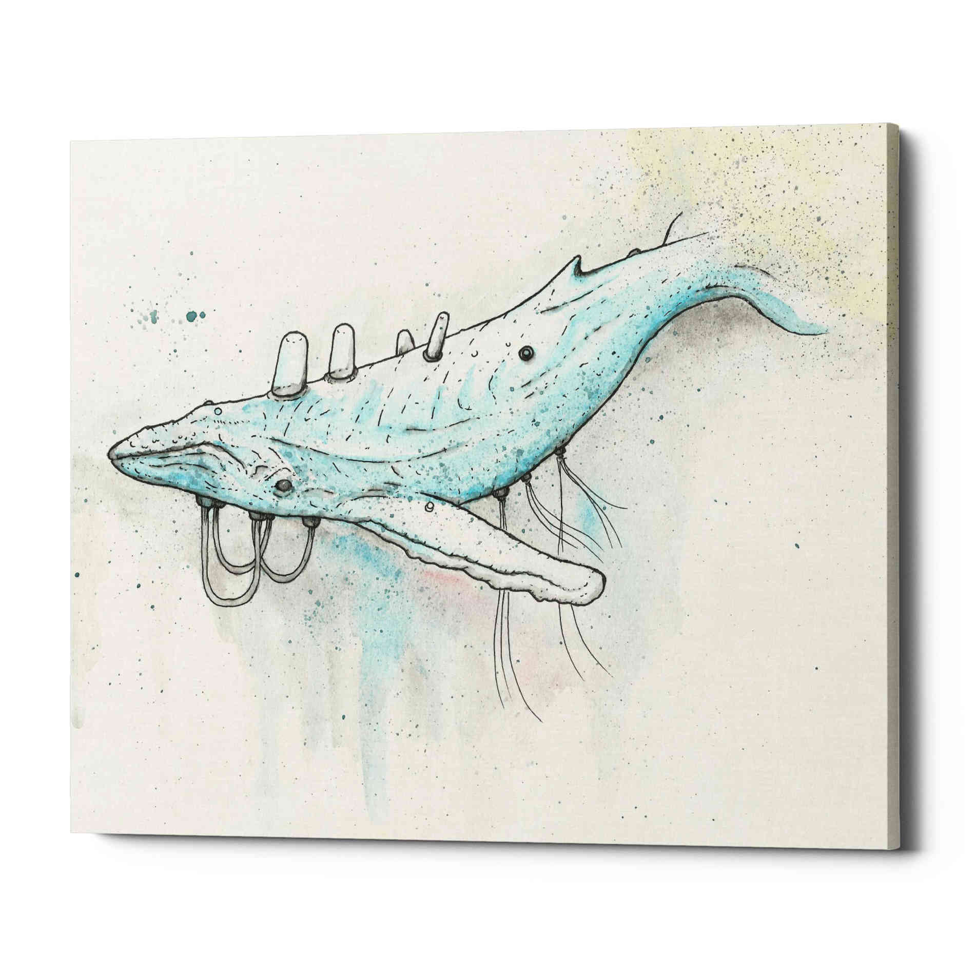 'Whale' by Craig Snodgrass, Canvas Wall Art