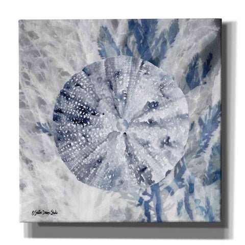 Image of 'Ocean Collection 2' by Stellar Design Studio, Canvas Wall Art,Size 1 Square