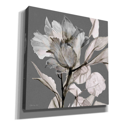 Image of 'Floral in Gray 2' by Stellar Design Studio, Canvas Wall Art,Size 1 Square