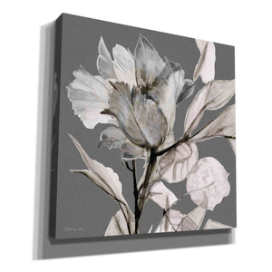 'Floral in Gray 2' by Stellar Design Studio, Canvas Wall Art,Size 1 Square