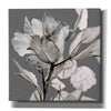 'Floral in Gray 2' by Stellar Design Studio, Canvas Wall Art,Size 1 Square