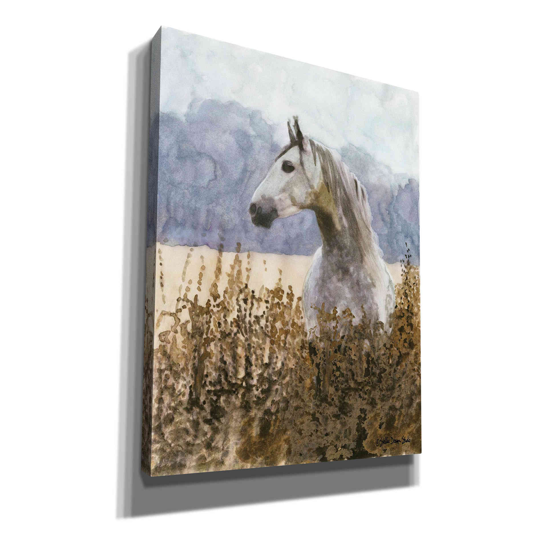 'Beauty' by Stellar Design Studio, Canvas Wall Art,Size B Portrait