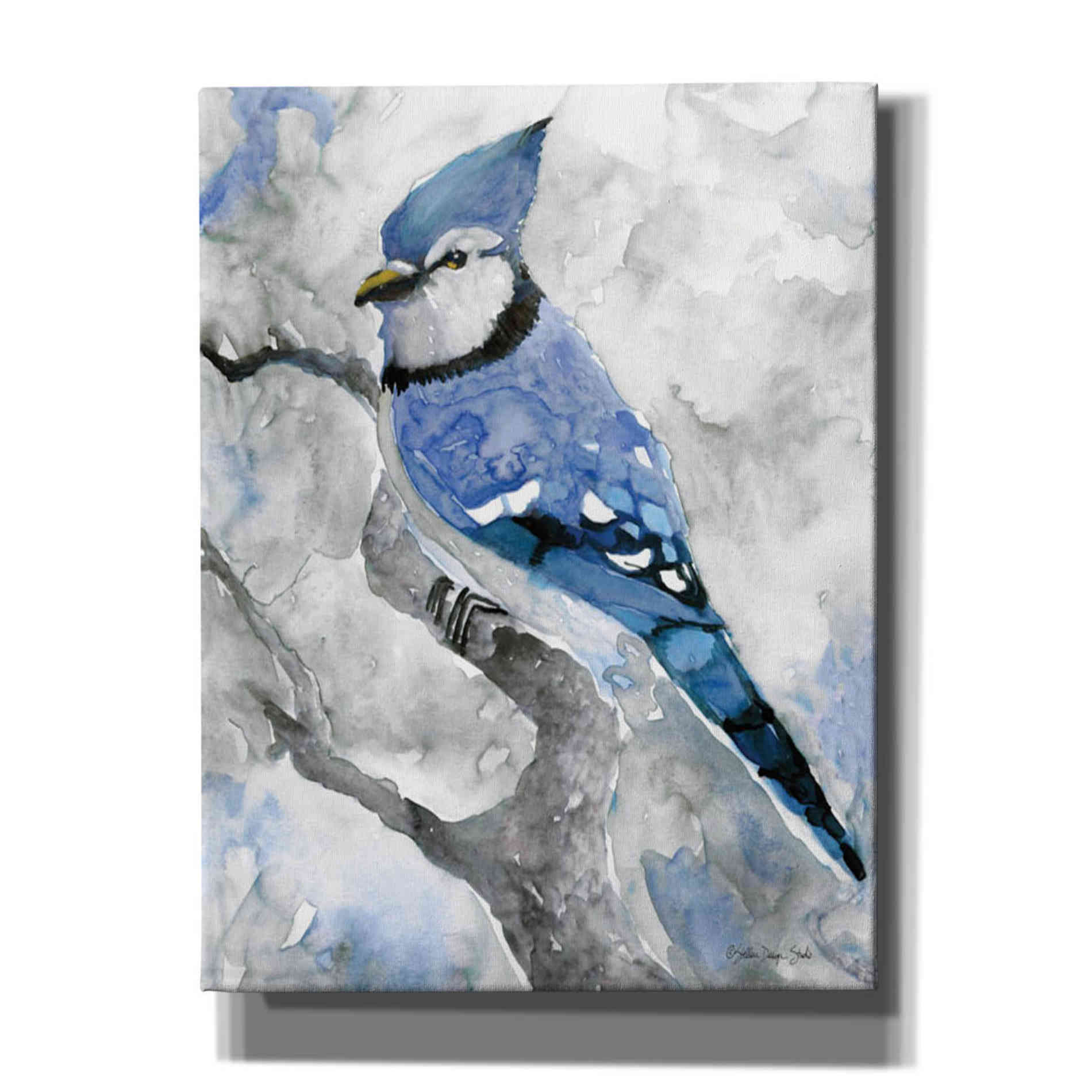 'Blue Jay 2' by Stellar Design Studio, Canvas Wall Art,Size B Portrait