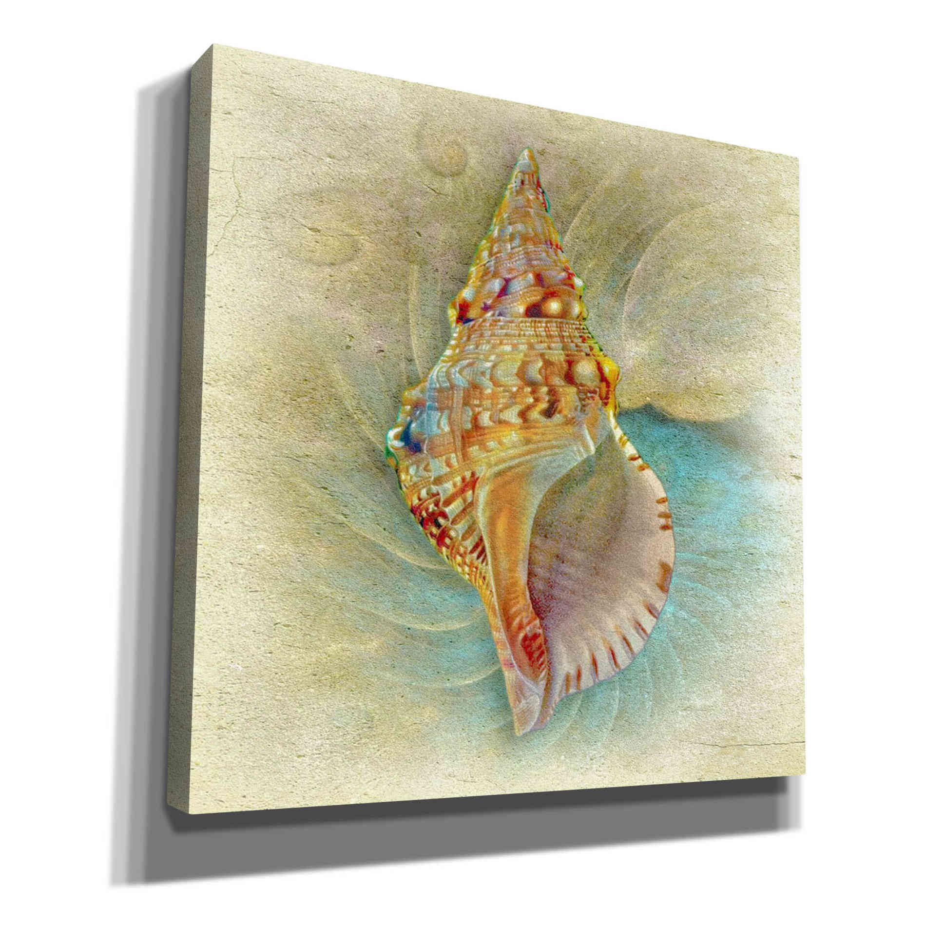 'Aquatica I' by Steve Hunziker Giclee Canvas Wall Art