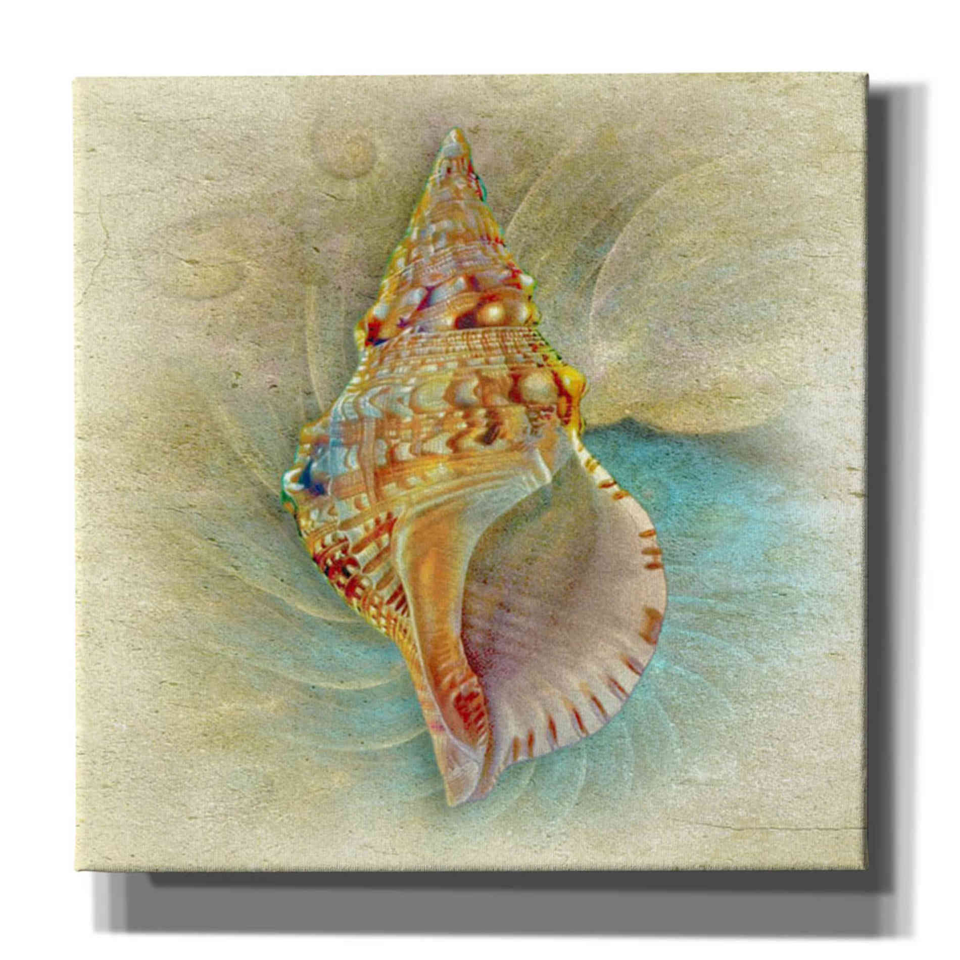 'Aquatica I' by Steve Hunziker Giclee Canvas Wall Art