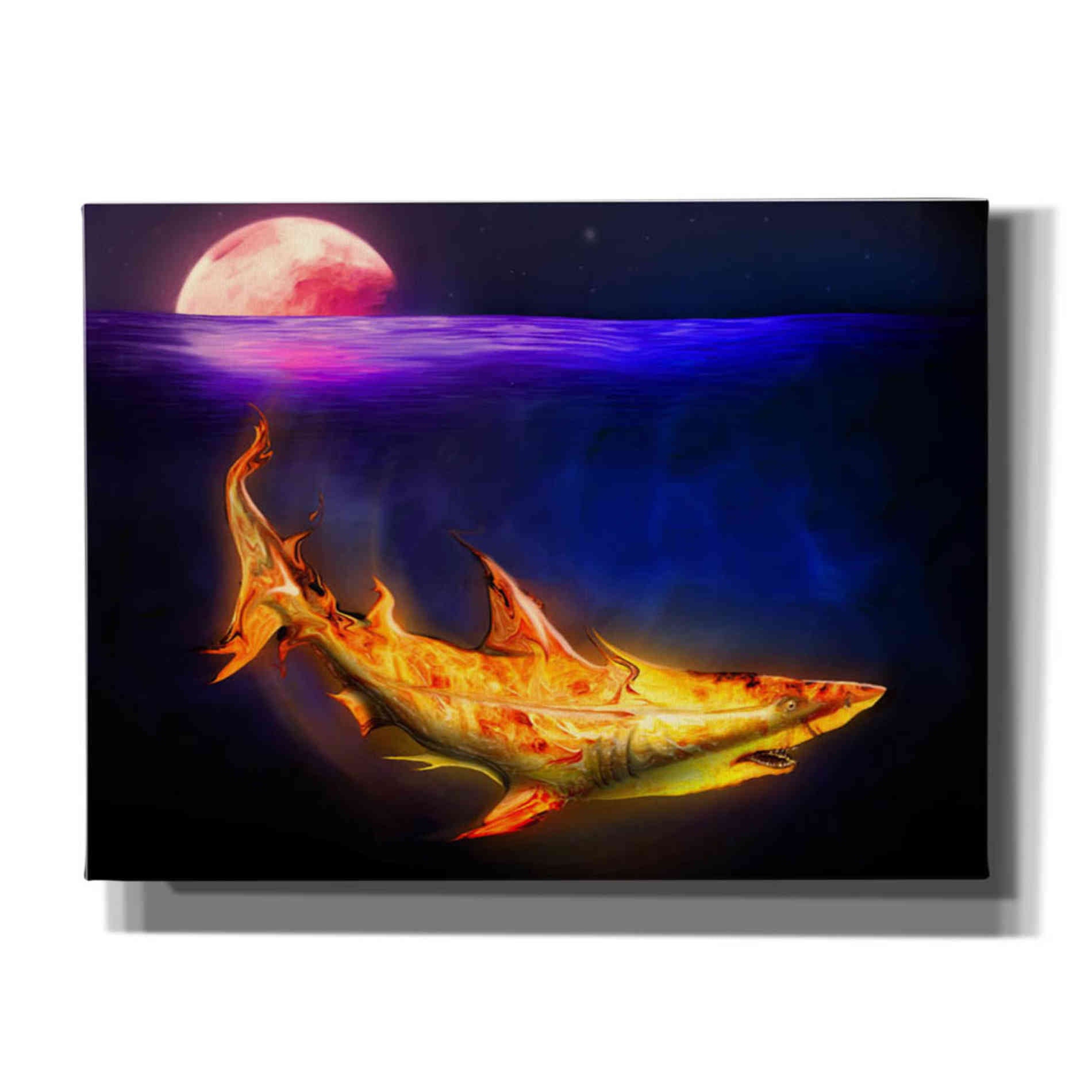 'Mako Shark' by Michael StewArt, Giclee Canvas Wall Art