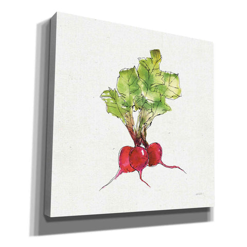 Image of 'Veggie Market II Radish' by Anne Tavoletti, Canvas Wall Art