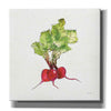 'Veggie Market II Radish' by Anne Tavoletti, Canvas Wall Art