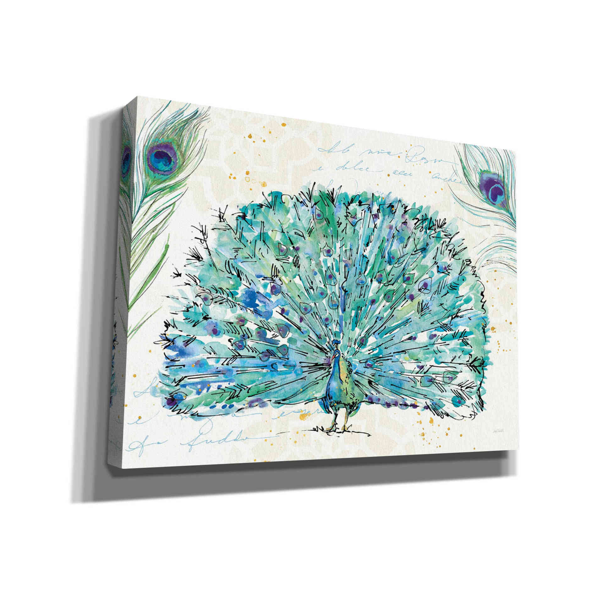 'Peacock Garden IX' by Anne Tavoletti, Canvas Wall Art