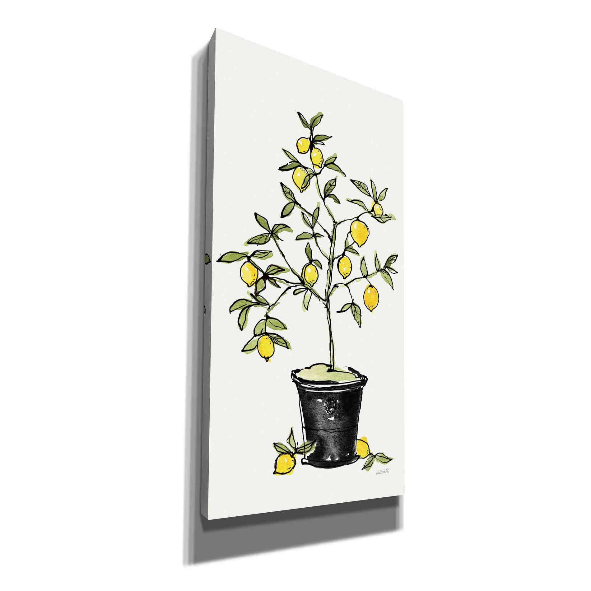 'Citron V' by Anne Tavoletti, Canvas Wall Art
