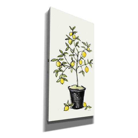 Image of 'Citron V' by Anne Tavoletti, Canvas Wall Art